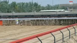 الشوط الرئيسي الرابع (مسائي) | مهرجان المرموم التراثي لسباقات الهجن |02 ابريل 2026