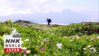 Vanishing Alpine Meadows - IMPACTS: Climates Change the World