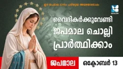 വൈദികർക്കുവേണ്ടി ശാലോമിനൊപ്പം ജപമാല ചൊല്ലി പ്രാർത്ഥിക്കാം | JAPAMALA DAIVAMATHAVU | SHALOM TV