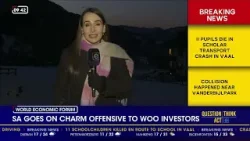 Davos 2026 | SA goes on charm offensive to woo investors