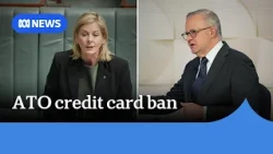 Claims government lacks small business experience over ATO credit card ban | ABC NEWS