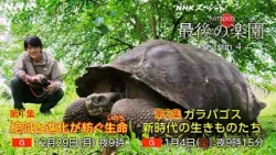 【NHKスペシャル】ホットスポット 最後の楽園 season4 | NHK 【NHKスペシャル】ホットスポット 最後の楽園 season4 | NHK