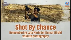 DD Morning Show | Shot By Chance | Remembering Late Narinder Kumar Birdhi | wildlife photography