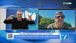 HOY HABLAMOS DE LA "ALFOMBRA VERDE"