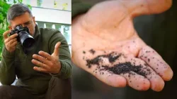 Itin keistai besielgiančius amarus aptikęs Čepulis: galima ir kalbos dovaną prarasti