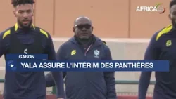 Gabon : Anicet Yala a été désigné sélectionneur intérimaire