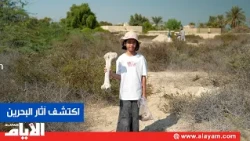 Discover Bahrain's Antiquities Yourself.. A Journey to Find Archaeological Pottery