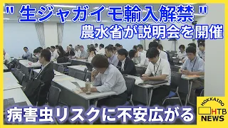 「全国に蔓延する」ジャガイモ輸入解禁検討で農水省が説明会　国内生産への影響や病害虫リスクに不安広がる