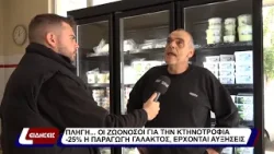Πληγή... Οι ζωονόσοι για την κτηνοτροφία. -25% η παραγωγή του γάλακτος, έρχονται αυξήσεις.
