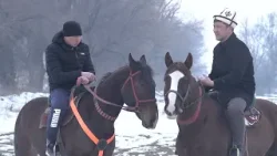 Токтогулда көк бөрү жокпу? Бекболсун Алтынбек уулу Токтогулда көк бөрү жокпу? Бекболсун Алтынбек уулу