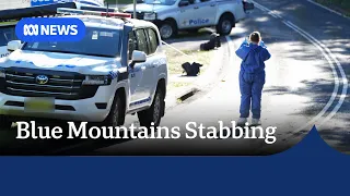 Child dead, two other kids and woman fighting for life in Blue Mountains stabbing | ABC NEWS