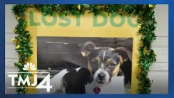 Жительница штата Висконсин, разыскивающая потерянную собаку, стала жертвой мошенников. Жительница штата Висконсин, разыскивающая потерянную собаку, стала жертвой мошенников.