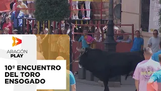 Teruel to Host the 10th Rope Bull Gathering