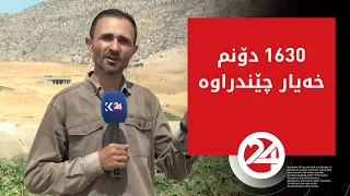 لە ئاکرێ 1630 دۆنم زەوی گەنم کراوەتە کێڵگەی خەیار