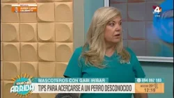 Vamo Arriba - Tips para acercarse a un perro desconocido