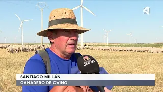 Livestock farms seek relief from the heat