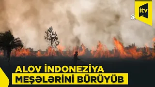İndoneziyada yanğınsöndürənlər yanğınlarla mübarizə aparırlar