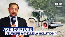Agricultural crisis, the future of the CAP, Ukraine… Interview with the European Commissioner for...