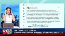 AB - EN EL PLR-LIBRE TODAVÍA HAY ¡FIELES COMO LOS PERROS!