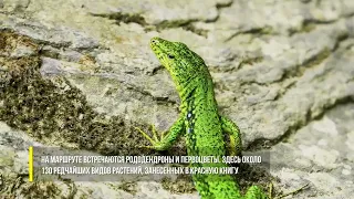 Заповедные места Сочи - Ажек