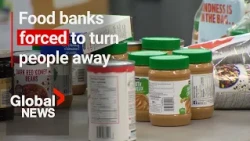 1 in 3 non-profit food banks are forced to turn people away: survey