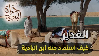 حياة البادية: طقوس القهوة العربية في قلب الصحراء