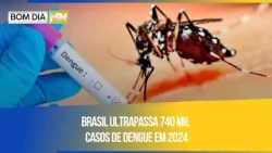 Brasil ultrapassa 740 mil casos de dengue em 2024