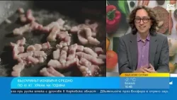 Всеки българин изхвърля 300 евро годишно под формата на храна