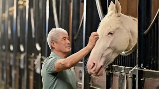 The Story of an Equestrian Acrobatics Coach