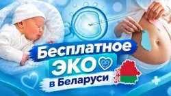 Free IVF in Belarus: Who is eligible and how it works