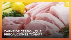 Todo lo que debes saber sobre el parásito del cerdo en el cerebro | Segunda parte