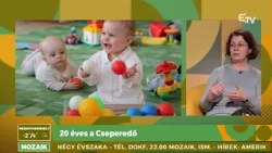 20 éves a Cseperedő – Mozaik