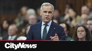 What are Mark Carney's top priorities this fall Parliamentary session?