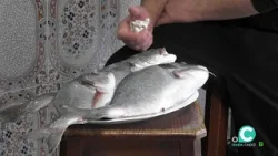 BUEN PROVECHO 10 04 2026 ONDA CADIZ TV BUEN PROVECHO 10 04 2026 ONDA CADIZ TV