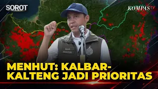 Hotspots Increase, Minister Raja Juli: West Kalimantan and Central Kalimantan Become Priorities