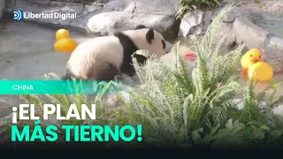CHINA | La ingeniosa y entrañable iniciativa para combatir el calor sofocante