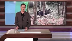 GLD Nieuws 22 maart 2026 GLD Nieuws 22 maart 2026