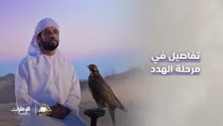 خبراء الصقارة يشرحون عن مرحلة الهدد | برنامج انطلق الصيد