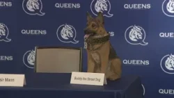 Queens reach men's basketball NCAA Tournament for first time in program history