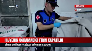 Bakery Shut Down for Lack of Hygiene! Shocking Remark from Owner: "What's the Harm in 2 Bugs?"