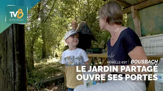 Le jardin partagé ouvre ses portes