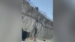 Judée-Samarie : les travailleurs illégaux, un fléau sécuritaire