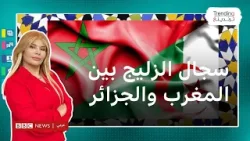 الجزائر والمغرب.. تصريحات حول الزليج تعيد السجال حول التراث إلى الواجهة