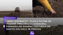 „Sunt disperați!”. Ploile puține de toamnă prelungesc coșmarul fermierilor români