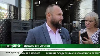 Централна емисия на АГРО ТВ:Промени в МЗХ, 311 „виртуални“ говеда и трудностите пред малките винарни