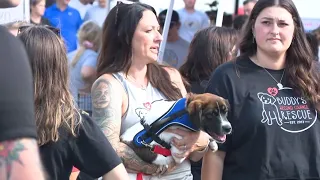Shakir Family Foundation hosts annual pet adoption event