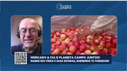 Colheita da maçã 25/26 deve marcar recuperação do setor