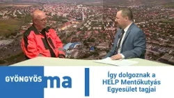 Így dolgoznak a HELP Mentőkutyás Egyesület tagjai