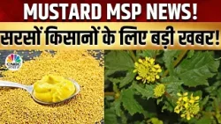 Mustard MSP News: अगर जल्द सरकार ने ये नहीं किया तो निवेशकों का हो सकता है बड़ा Loss | Gold | Crude