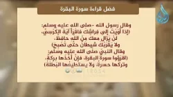 فضل قراءة سورة البقرة | #حامل_القرآن #تلاوة